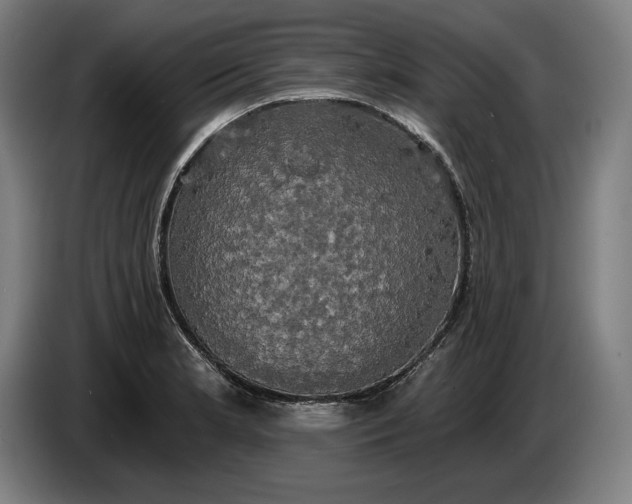 X0000087411181200705041242