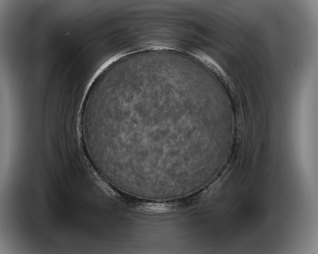 X0000087411182200705041242
