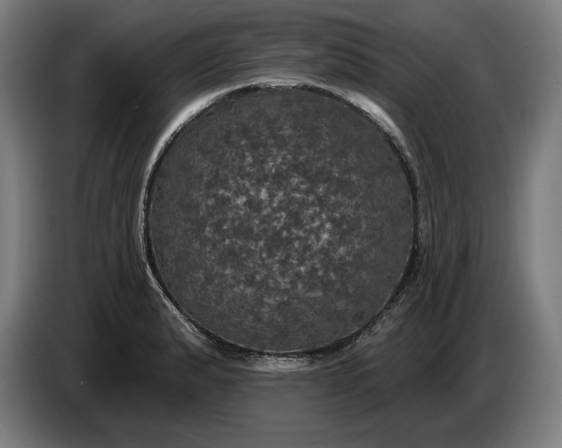 X0000087411183200705041242