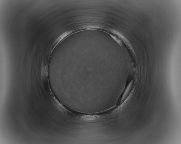 X0000087411185200705041242