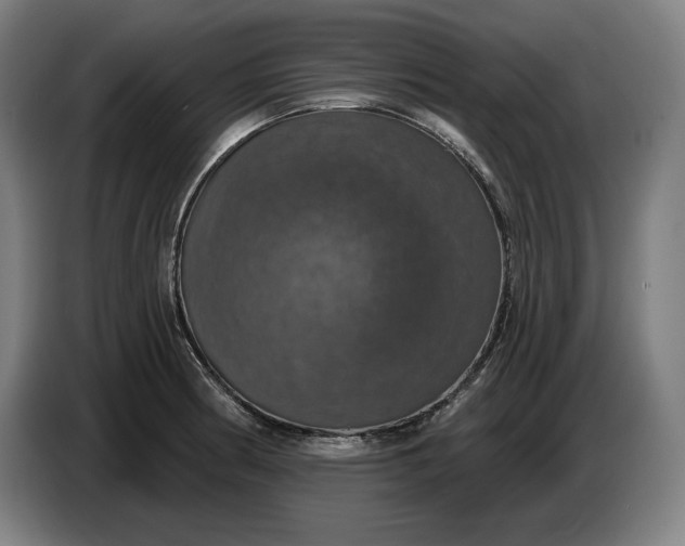 X0000087411186200705041242