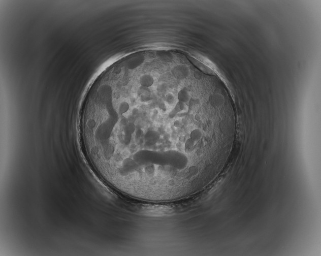 X0000087411187200705041242