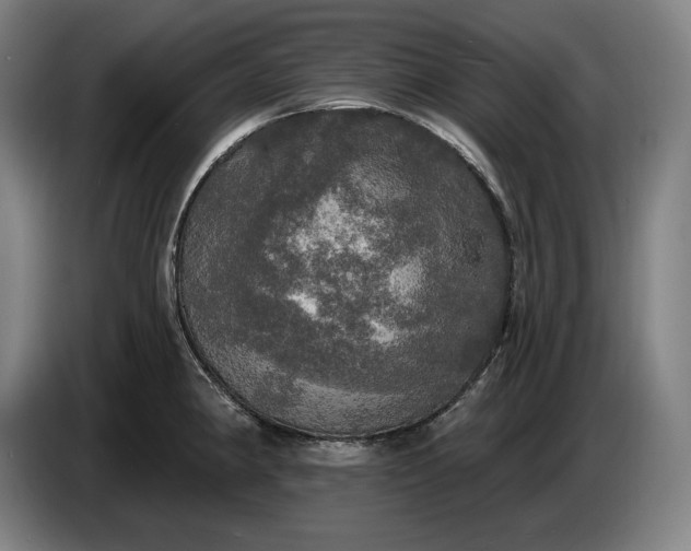 X0000087411190200705041242