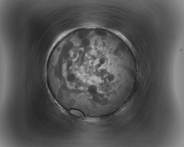 X0000087411191200705041242
