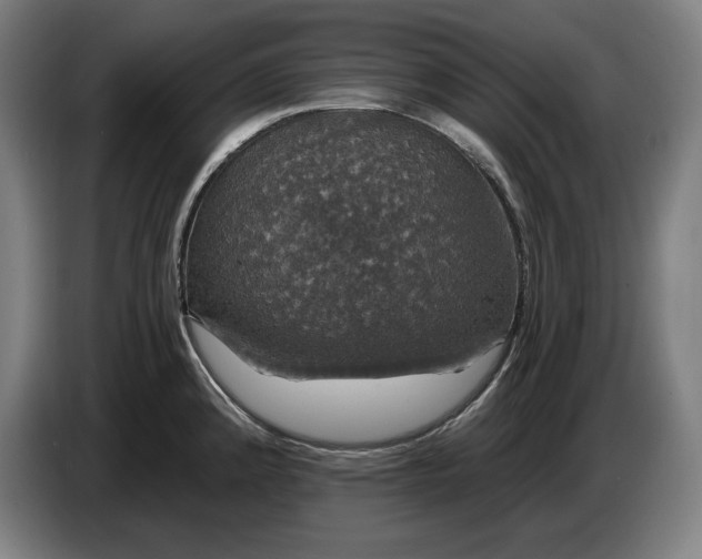X0000087411192200705041242