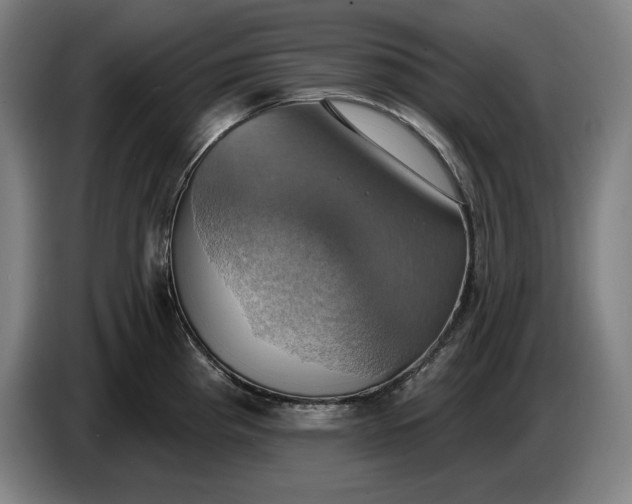 X0000087411193200705041242
