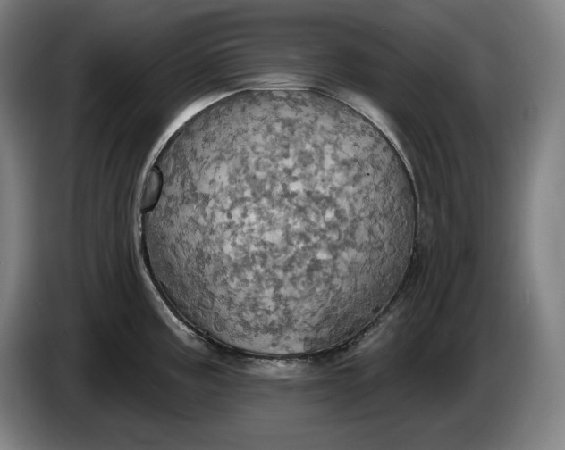 X0000087411195200705041242