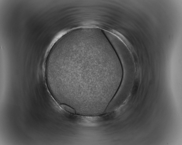 X0000087411196200705041242