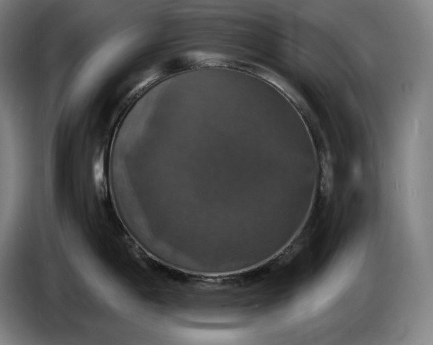 X0000087411198200705041242