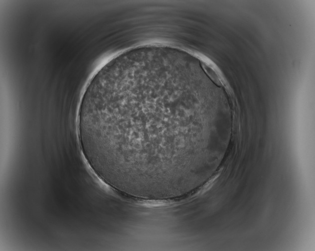 X0000087411199200705041242