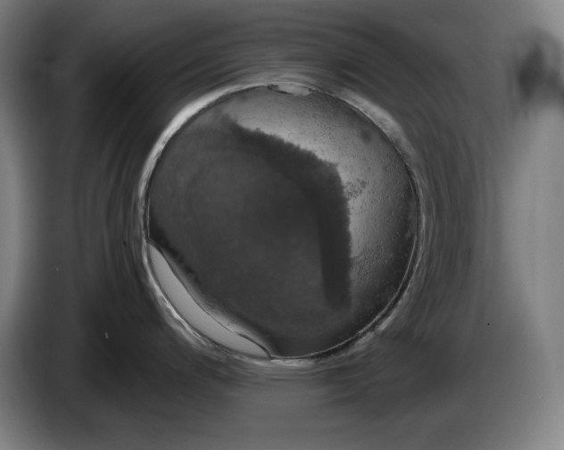 X0000087411200200705041241