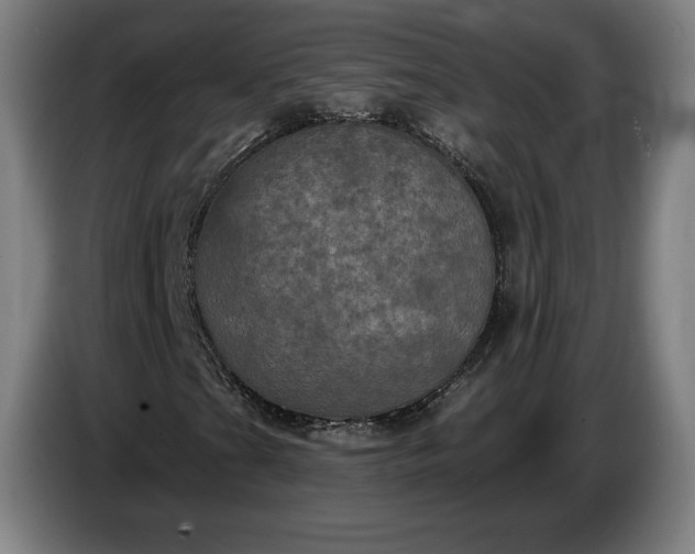 X0000087411201200705041241