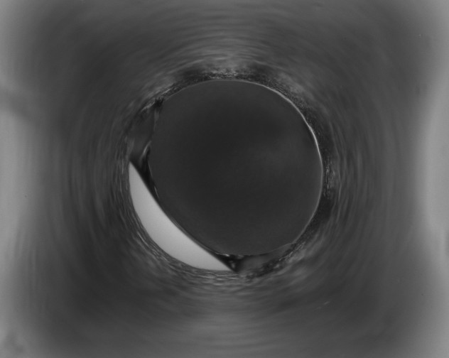 X0000087411202200705041241