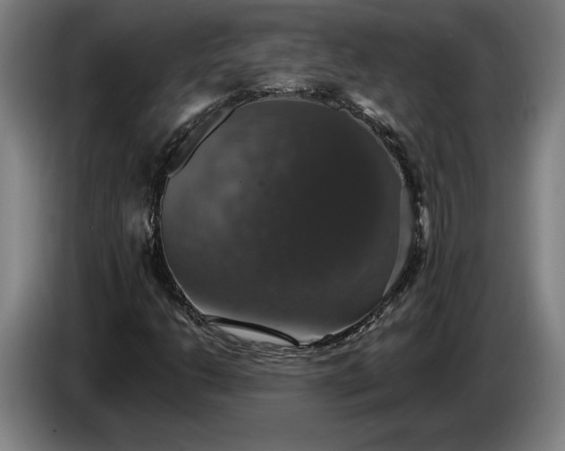 X0000087411206200705041241