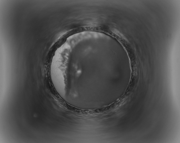 X0000087411208200705041241