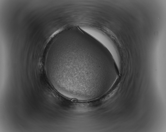 X0000087411210200705041241
