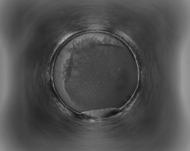 X0000087411212200705041241