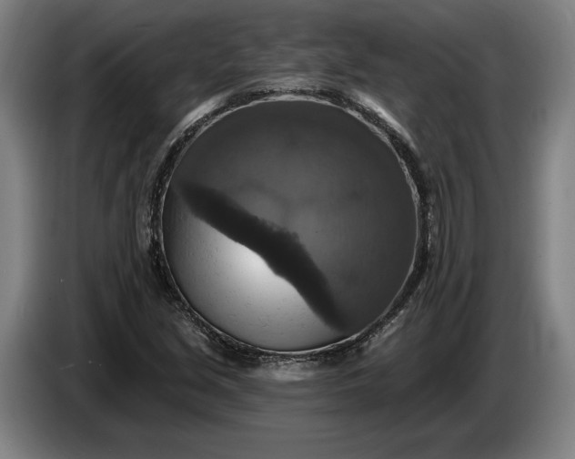 X0000087411213200705041241
