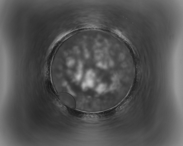X0000087411215200705041241