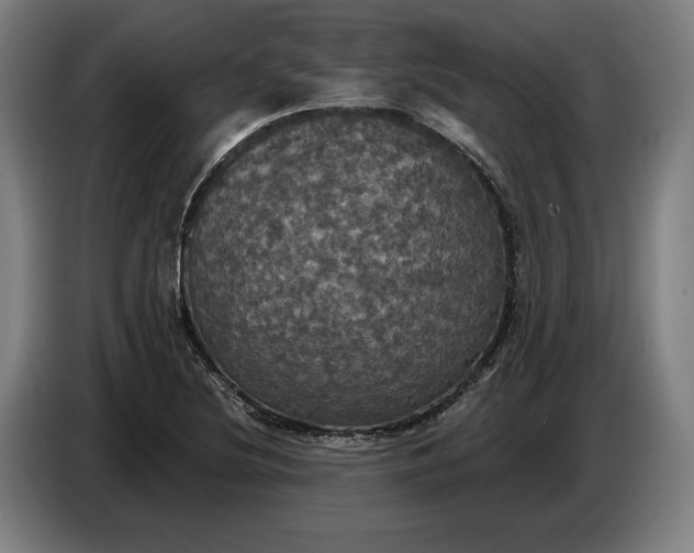 X0000087411220200705041241