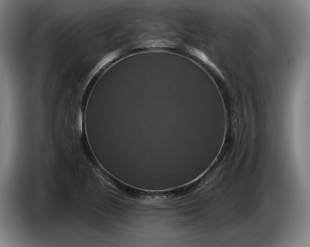 X0000087411221200705041241