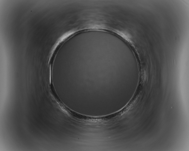 X0000087411223200705041241