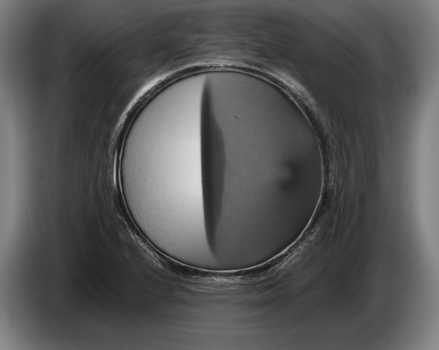 X0000087411224200705041241