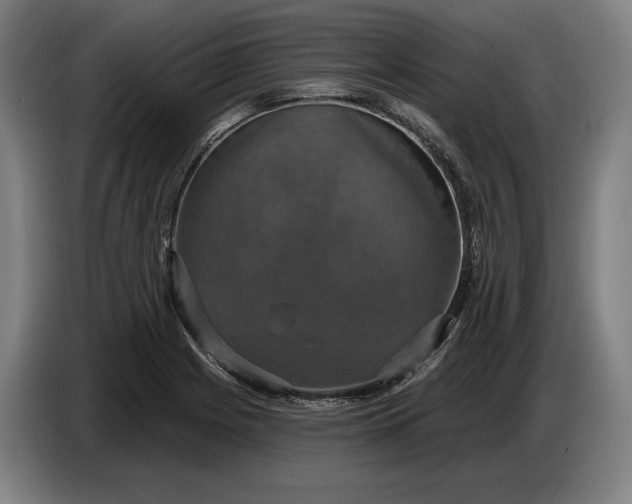 X0000087411225200705041241