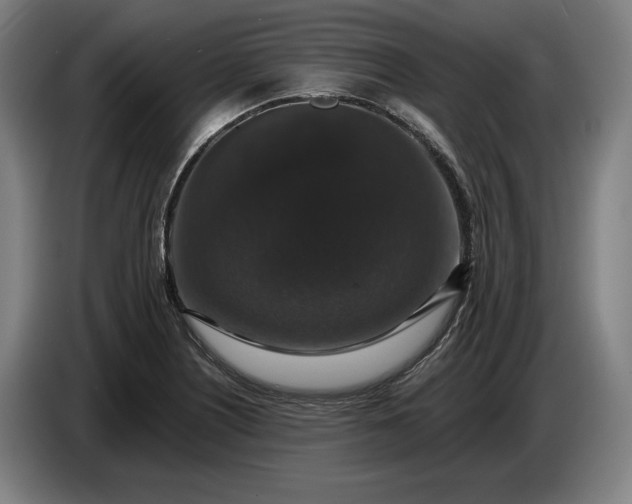 X0000087411226200705041241