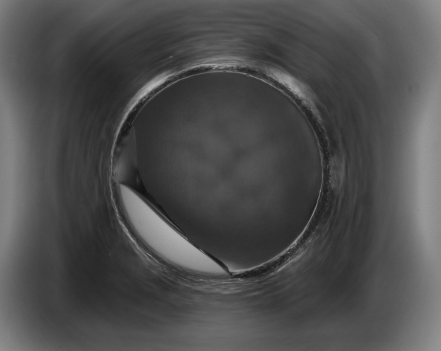 X0000087411229200705041241
