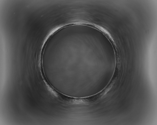 X0000087411231200705041241