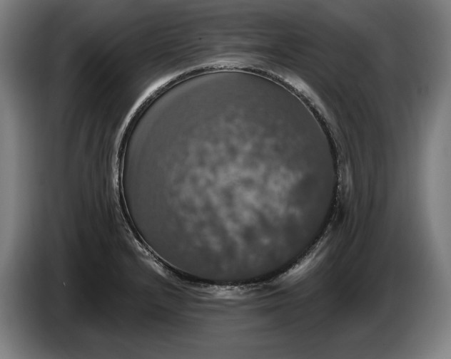 X0000087411232200705041241
