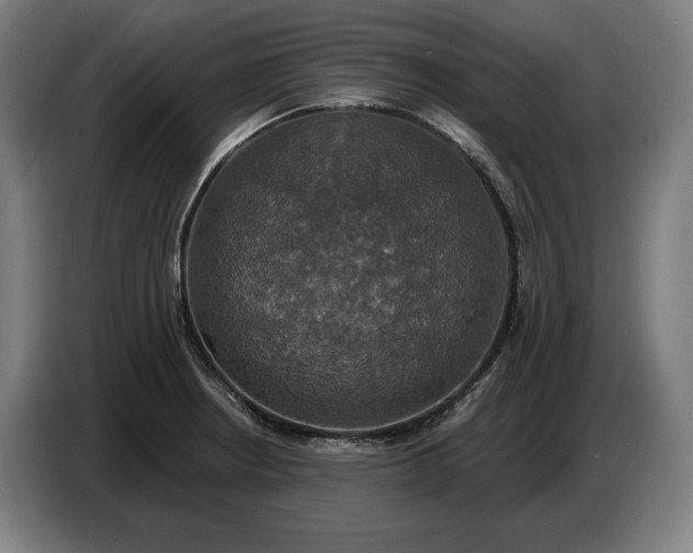 X0000087411234200705041241