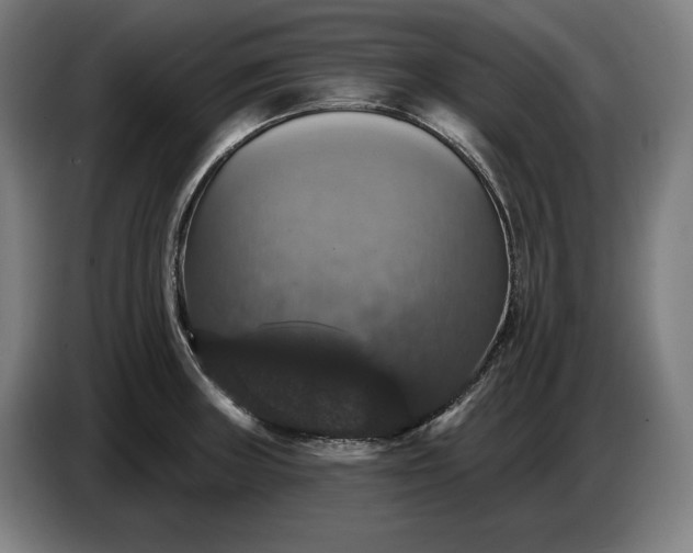 X0000087411235200705041241