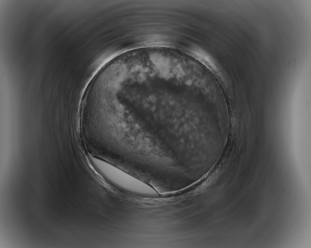 X0000087411236200705041241