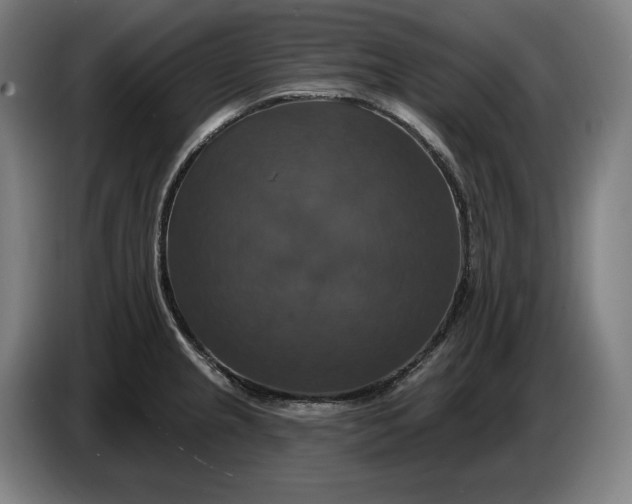X0000087411237200705041241