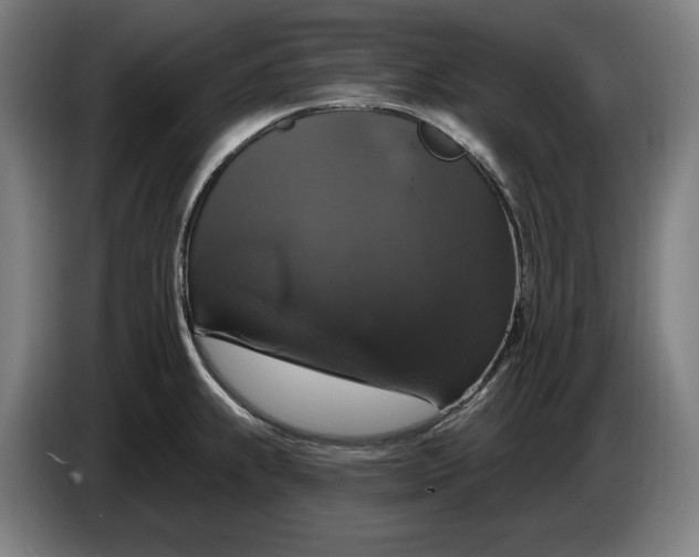 X0000087411239200705041241