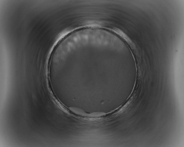 X0000087411240200705041241