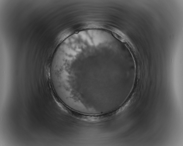 X0000087411241200705041241