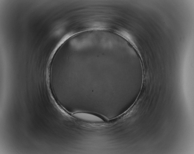 X0000087411243200705041241