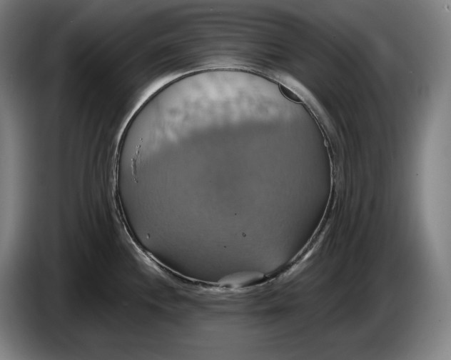 X0000087411244200705041241