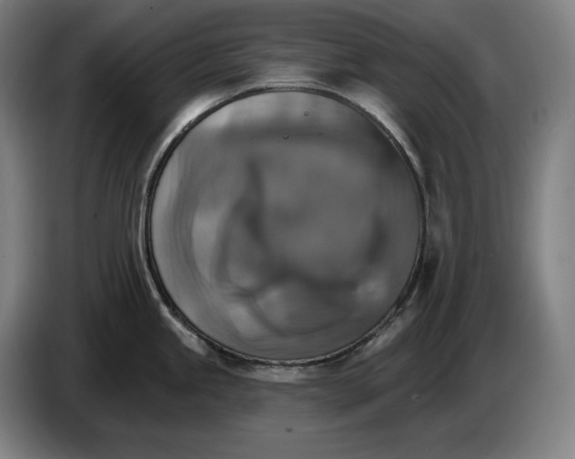 X0000087411245200705041241