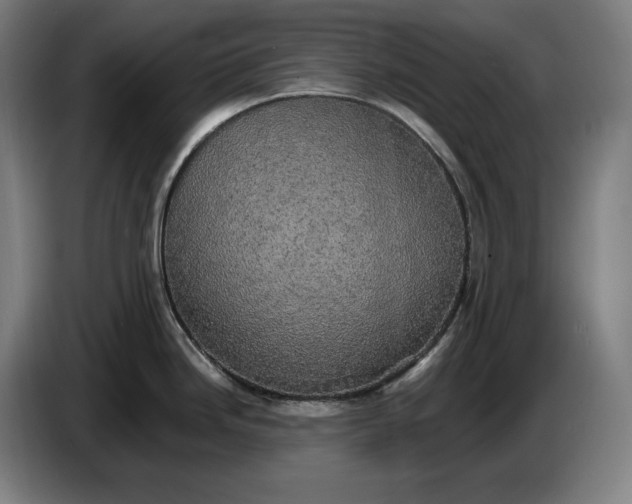 X0000087411246200705041241