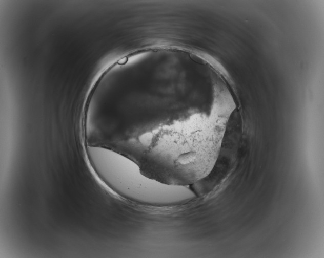 X0000087411247200705041241