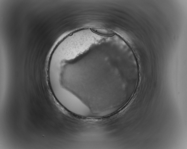 X0000087411248200705041241