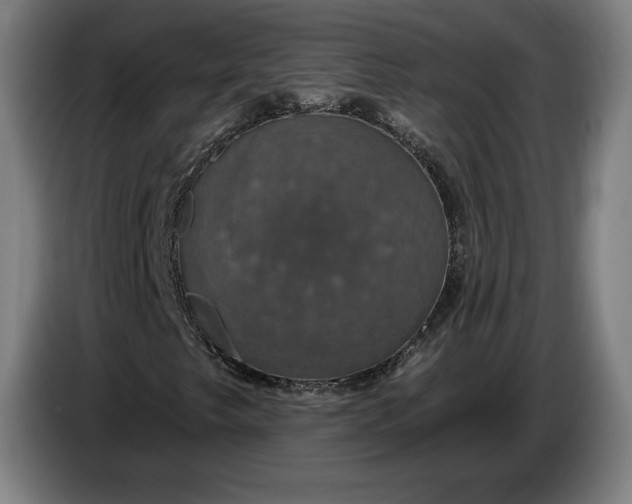 X0000087411249200705041241