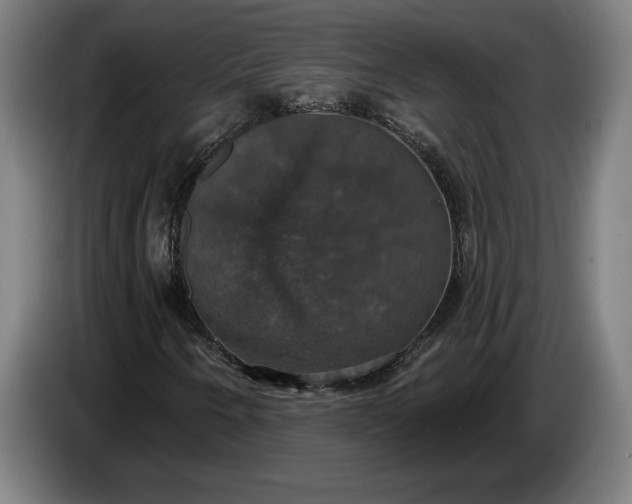 X0000087411250200705041241