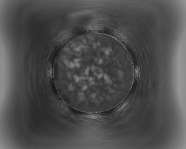 X0000087411251200705041241