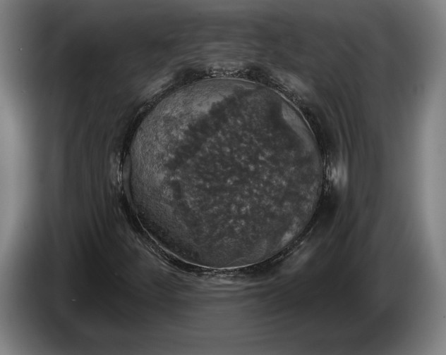 X0000087411252200705041241