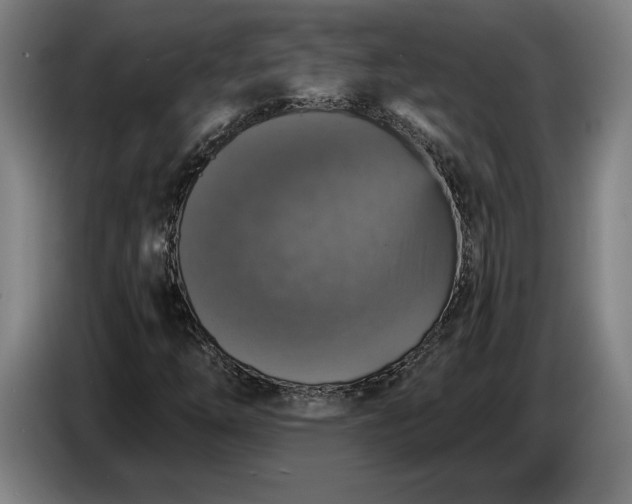 X0000087411254200705041241